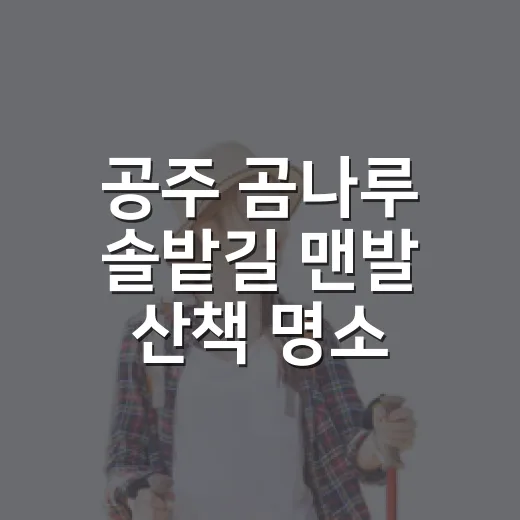 공주 곰나루 솔밭길 맨발 산책 명소