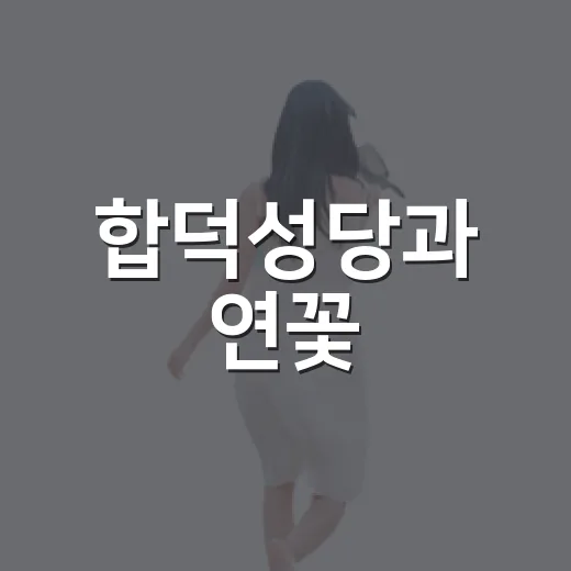 합덕성당과 연꽃, 당진 힐링 명소