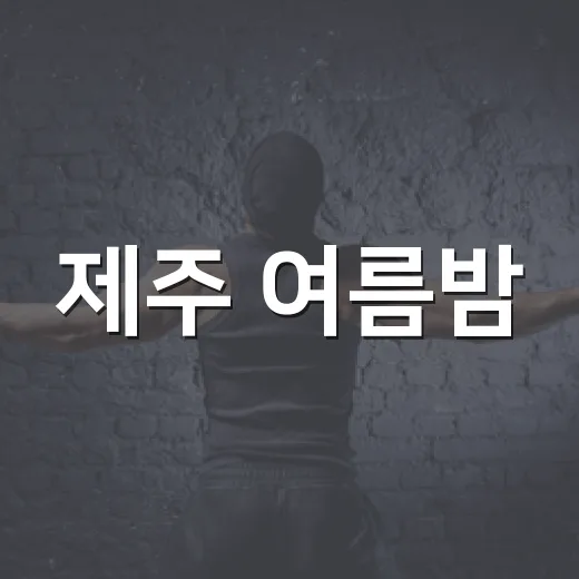 제주 여름밤, 청춘마이크 행복마차 공연