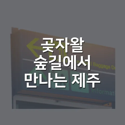 곶자왈 숲길에서 만나는 제주 자연의 숨결