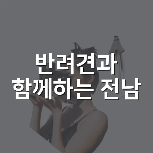 반려견과 함께하는 전남·광주 명소 5선