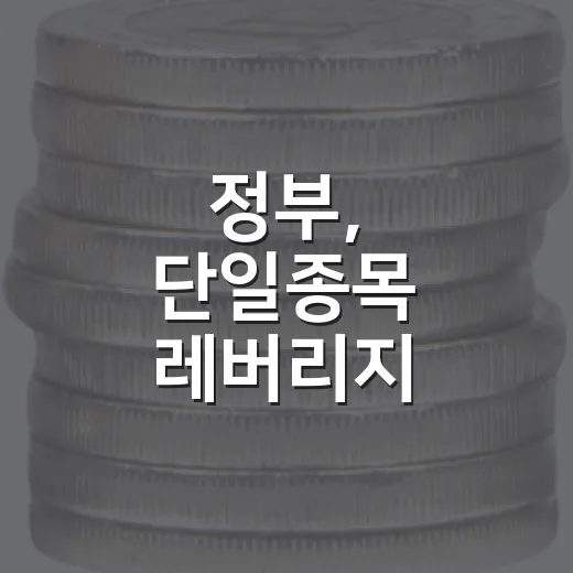 정부, 단일종목 레버리지 투자한도 즉시 도입