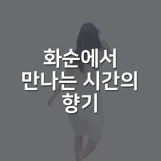 화순에서 만나는 시간의 향기