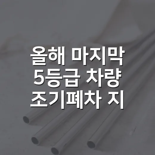 올해 마지막 5등급 차량 조기폐차 지원 안내