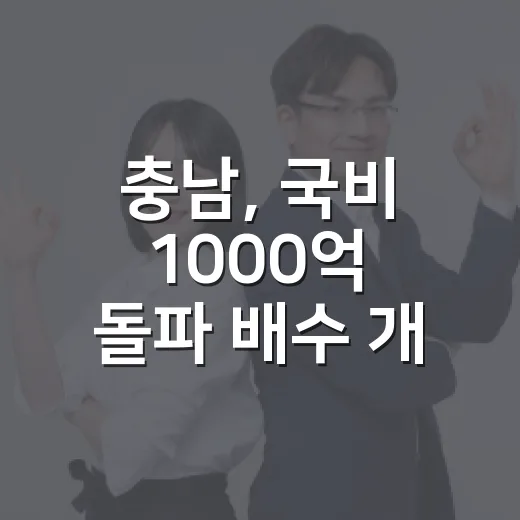 충남, 국비 1000억 돌파 배수 개선 사업 가속