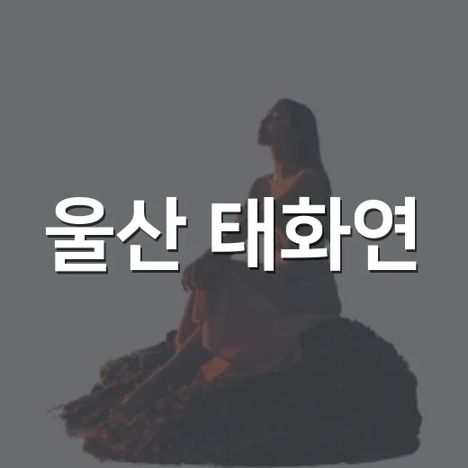 울산 태화연, 여름 연꽃 산책 명소