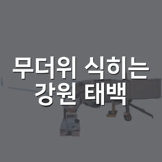 무더위 식히는 강원 태백·양구 여행