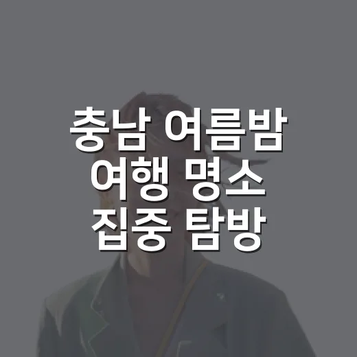 충남 여름밤 여행 명소 집중 탐방
