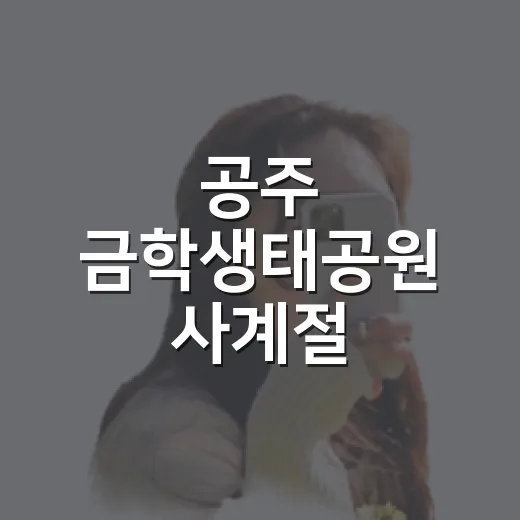 공주 금학생태공원 사계절 물썰매장 완벽 가이드