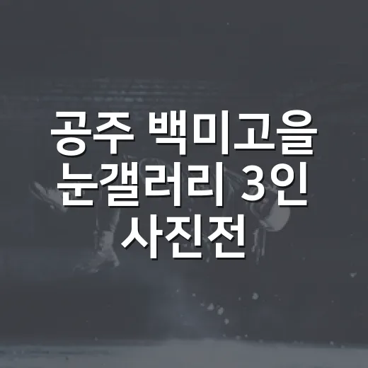 공주 백미고을 눈갤러리 3인 사진전 개최
