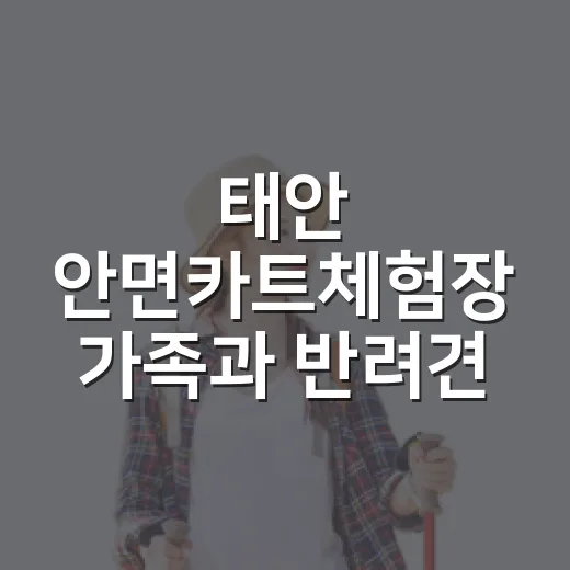 태안 안면카트체험장 가족과 반려견 동반 추천