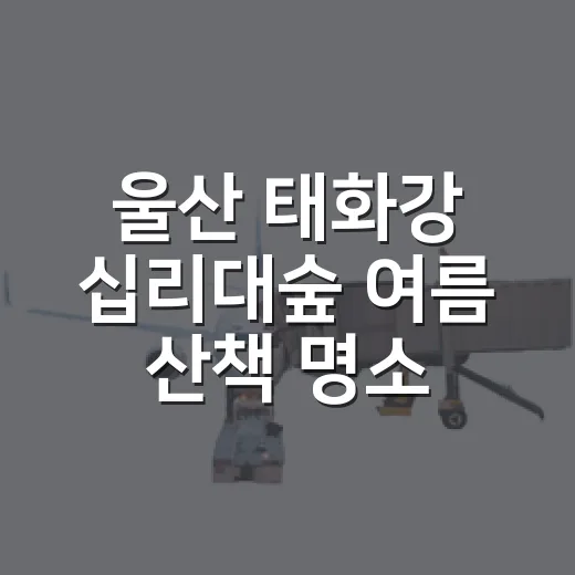 울산 태화강 십리대숲 여름 산책 명소