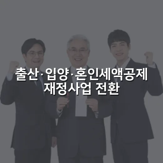 출산·입양·혼인세액공제 재정사업 전환, 구체안 미정