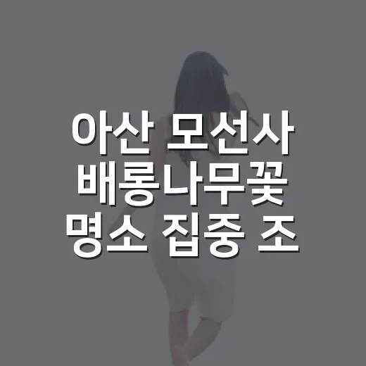 아산 모선사 배롱나무꽃 명소 집중 조명