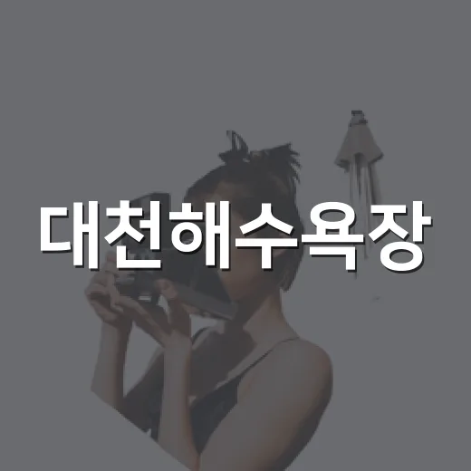 대천해수욕장, 여름 머드축제와 바다의 향연