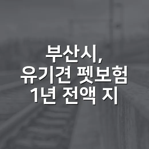 부산시, 유기견 펫보험 1년 전액 지원