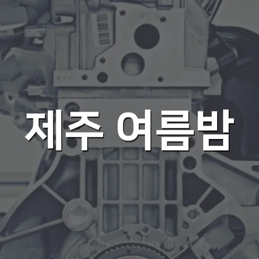 제주 여름밤, 별똥별 우주쇼 관측회 개최