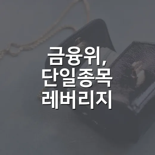 금융위, 단일종목 레버리지 위험성 철저 평가