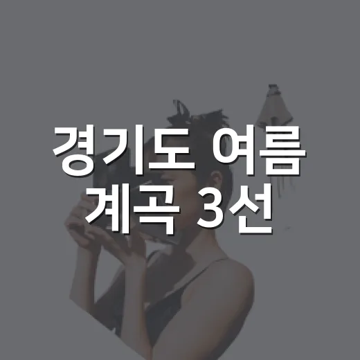 경기도 여름 계곡 3선, 자연과 물놀이의 조화