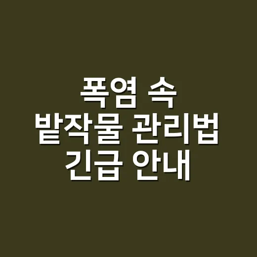 폭염 속 밭작물 관리법 긴급 안내