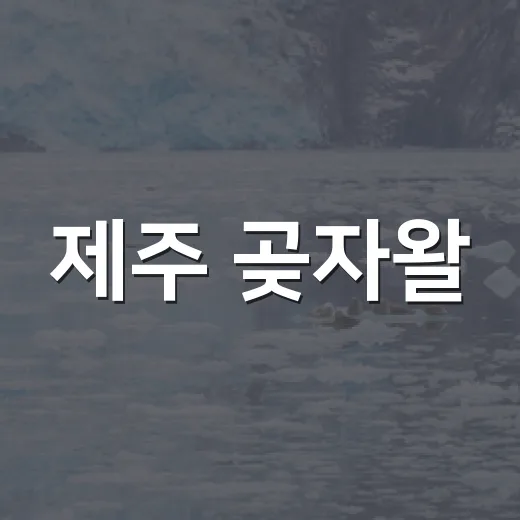 제주 곶자왈, 고향사랑기부로 지키자