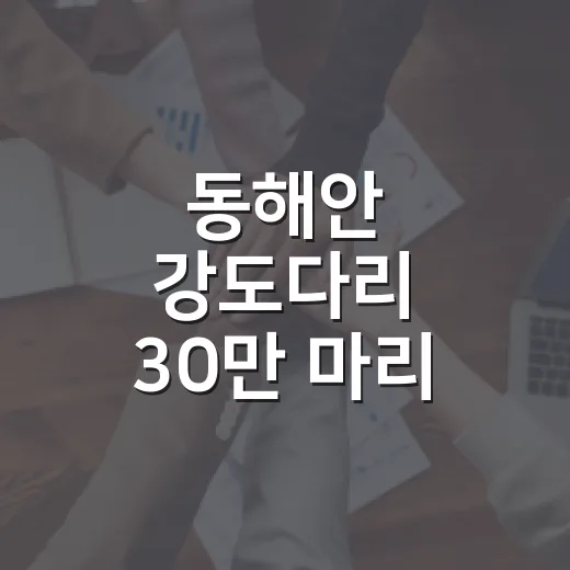 동해안 강도다리 30만 마리 방류
