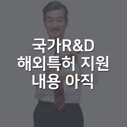 국가R&D 해외특허 지원 내용 아직 미확정