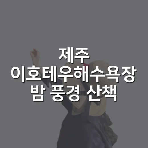 제주 이호테우해수욕장 밤 풍경 산책