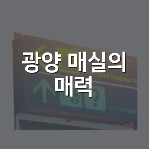 광양 매실의 매력, 신활력센터 체험기