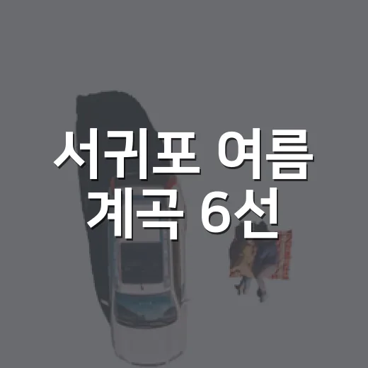 서귀포 여름 계곡 6선, 물놀이 명소 총정리