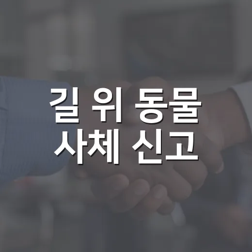 길 위 동물 사체 신고, 제주120 만덕콜센터가 답이다