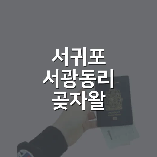 서귀포 서광동리 곶자왈, 여름 산책 명소