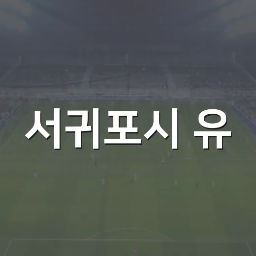 서귀포시 유·청소년 실내서핑 교실 개설
