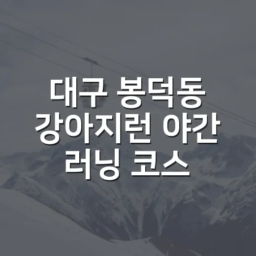 대구 봉덕동 강아지런 야간 러닝 코스