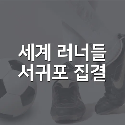 세계 러너들 서귀포 집결, 2026 Trans Jeju by UTMB