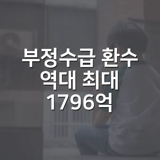 부정수급 환수 역대 최대 1796억 원 기록