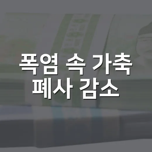 폭염 속 가축 폐사 감소, 닭고기 수급 안정