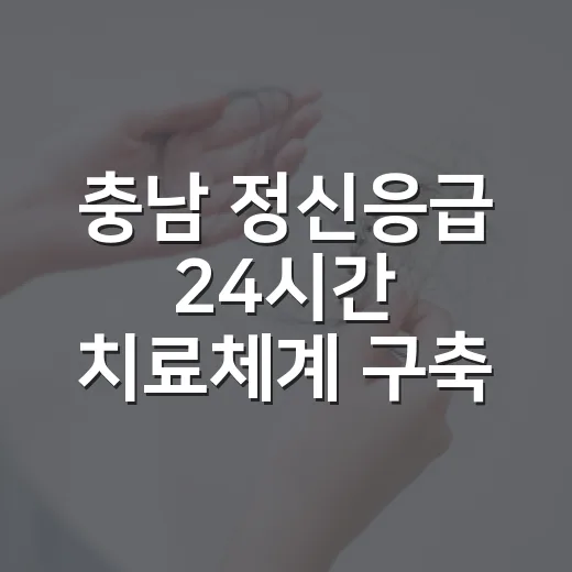 충남 정신응급 24시간 치료체계 구축