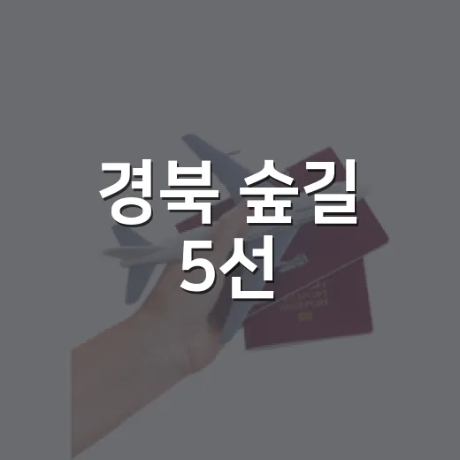 경북 숲길 5선, 초록 그늘 속 힐링 산책