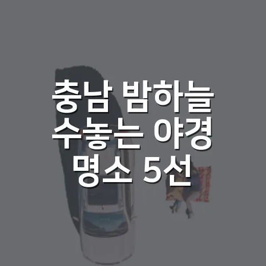 충남 밤하늘 수놓는 야경 명소 5선