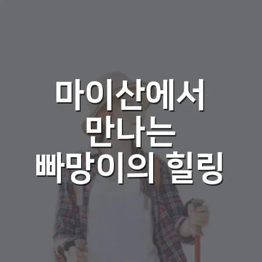 마이산에서 만나는 빠망이의 힐링 미션