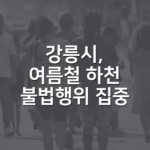 강릉시, 여름철 하천 불법행위 집중 단속