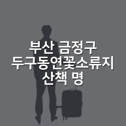 부산 금정구 두구동연꽃소류지 산책 명소