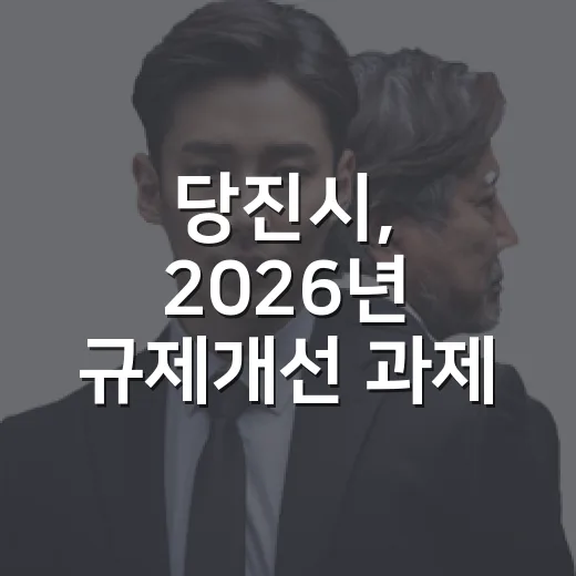 당진시, 2026년 규제개선 과제 발굴 보고회 개최