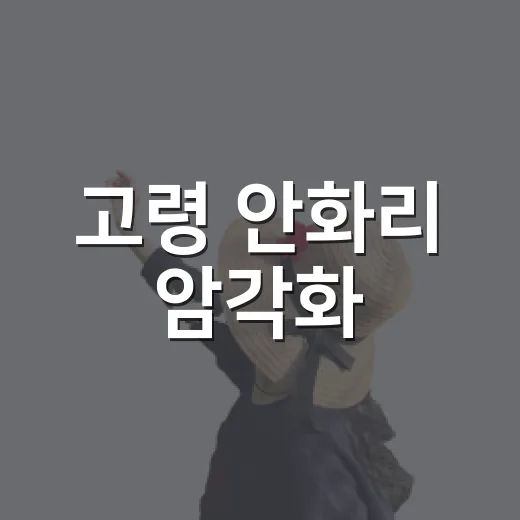 고령 안화리 암각화, 선사시대 바위그림의 비밀