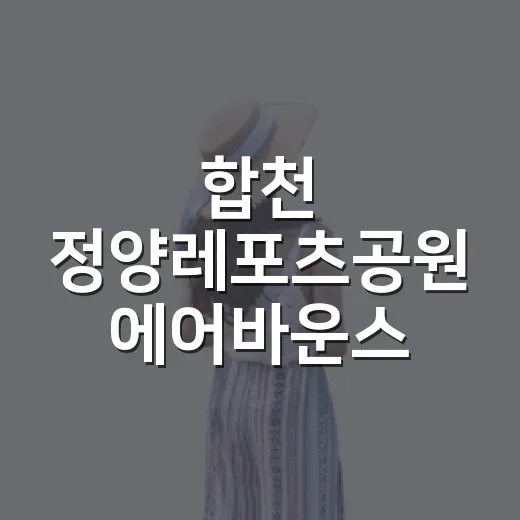 합천 정양레포츠공원 에어바운스 물놀이장 개장