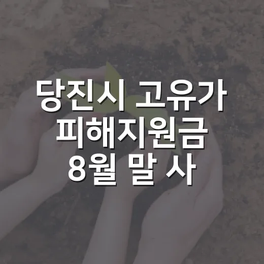 당진시 고유가 피해지원금 8월 말 사용 마감