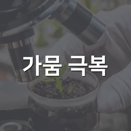가뭄 극복, 생활 속 물 절약 실천법