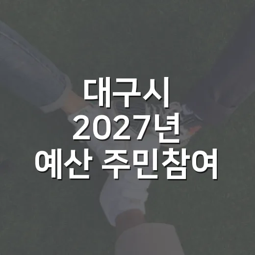 대구시 2027년 예산 주민참여 온라인 투표 시작