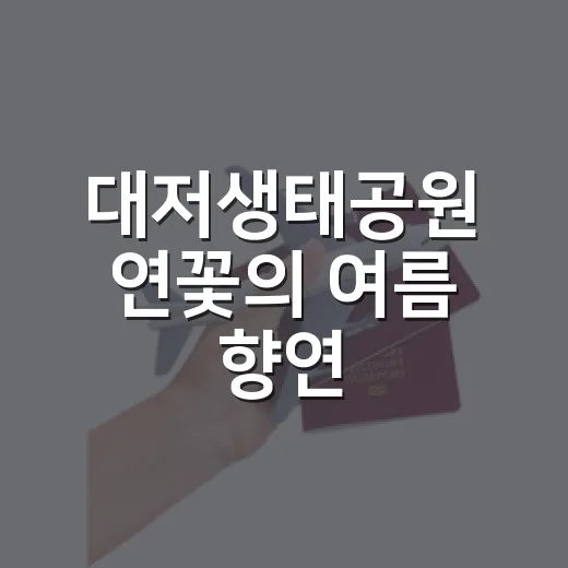 대저생태공원 연꽃의 여름 향연